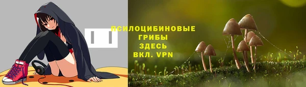 соль ск Балабаново