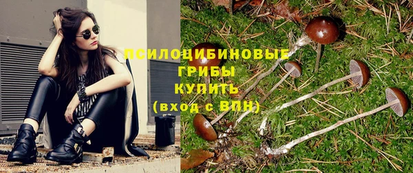 соль ск Балабаново