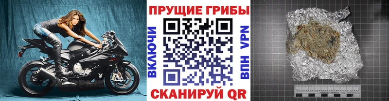 что такое   Ленинск-Кузнецкий  Галлюциногенные грибы мухоморы 