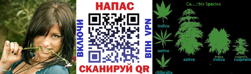 ОМГ ОМГ вход  Ленинск-Кузнецкий  Марихуана индика 